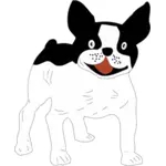 Schwarz / weiß-Hund