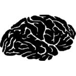 صورة ظلية للدماغ