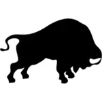 Graphiques vectoriels de bison sur le point de se battre