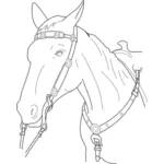 Ilustración vectorial de cabeza de caballo con plomo