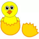 Pasgeboren chick vector afbeelding