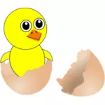 Bayi ayam dalam gambar vektor kulit telur