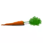 वेक्टर छवि एक गाजर की