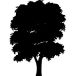 Silhouette of tree vector clip art