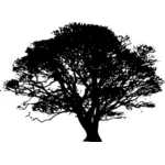 Silhouette of tree vector drawing