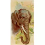 Illustration de l’éléphant