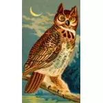 Bertanduk Owl