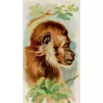Profil monyet