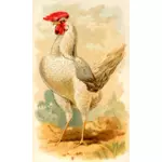 白色レグホーン鶏