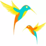 Humming birds in flight illustration
