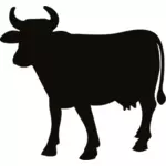 Cow silhouette image