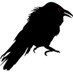 Crow silueta