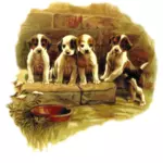 כלבים חמודים ציור