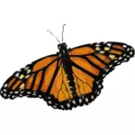 Jednoduchý motýl