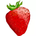 Vektor-Illustration der glänzenden Erdbeere
