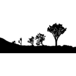 Desert landscape silhouette