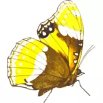 レトロな蝶