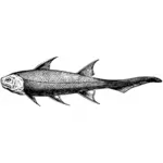 Prähistorischen Fisch