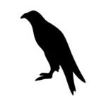 Vultur silueta grafică vectorială