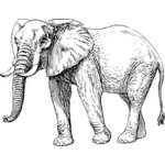 大象向量例证