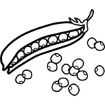 Outline of peas vector graphics