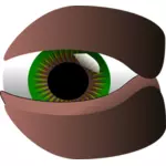 Vector images clipart d'yeux vert