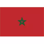 摩洛哥的旗帜
