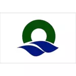 Флаг Oi, Фукуи
