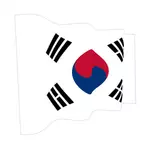 Ondulado bandera de Corea del sur