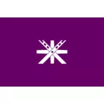 Официальный флаг Тотиги векторное изображение