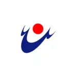 Флаг Hioki, Кагосима
