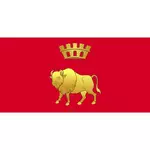 Bandiera della regione di Hrodna
