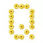 Q terbuat dari bunga matahari