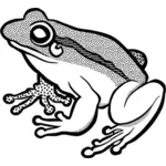 Векторные картинки ожидания лягушки в черно-белом