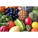 Vector de la imagen de la gran variedad de frutas