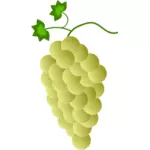 Виноград желтый