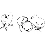 Vector illustraties van kuikens broedeieren