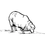 Sheep grazing vector clip art