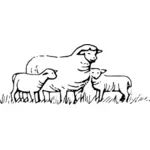 Vector image of sheep and kids