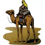 Image of camel with rider in vector