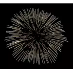 Fireworks vektör görüntü