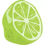 Halv en lime frukt vektor tegning