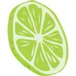Lime vector drawing