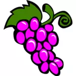 Imagem vetorial de uvas