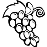 Desenho de vetor de uvas