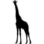 Жираф черный силуэт вектор