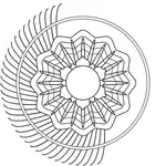 Half of a blooming flower vector image