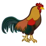Farget mannlige kylling