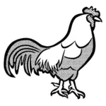 Mustavalkoinen kuva kanasta