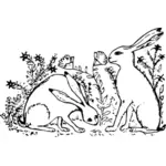 Hares in grass